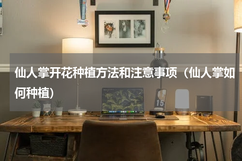 仙人掌开花种植方法和注意事项（仙人掌如何种植）