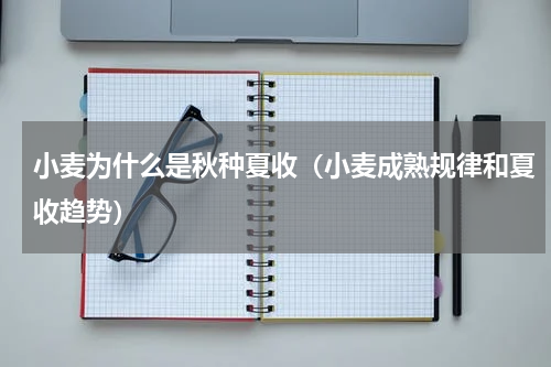 小麦为什么是秋种夏收（小麦成熟规律和夏收趋势）