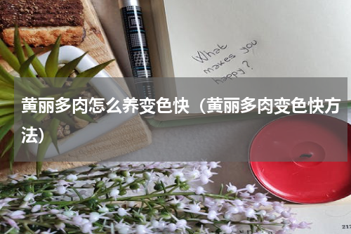 黄丽多肉怎么养变色快（黄丽多肉变色快方法）