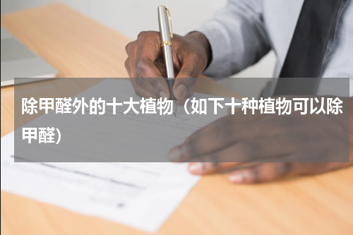 除甲醛外的十大植物（如下十种植物可以除甲醛）
