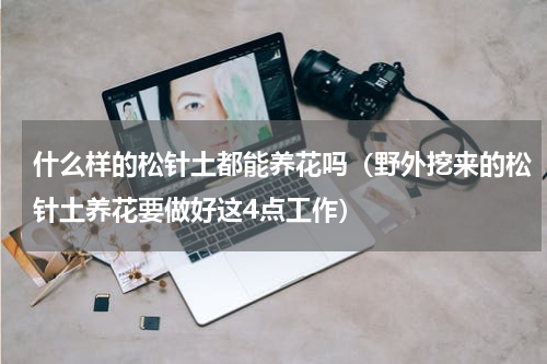 什么样的松针土都能养花吗（野外挖来的松针土养花要做好这4点工作）