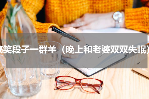 搞笑段子一群羊（晚上和老婆双双失眠）