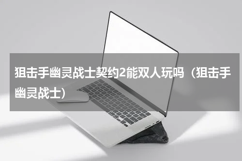 狙击手幽灵战士契约2能双人玩吗（狙击手幽灵战士）