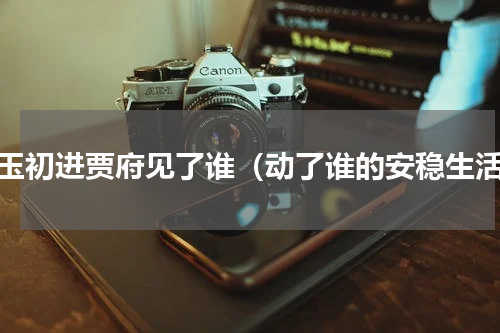 黛玉初进贾府见了谁（动了谁的安稳生活）