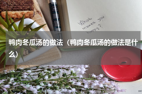 鸭肉冬瓜汤的做法（鸭肉冬瓜汤的做法是什么）