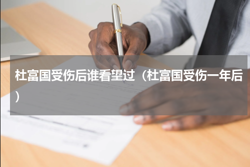 杜富国受伤后谁看望过（杜富国受伤一年后）