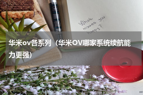 华米ov各系列（华米OV哪家系统续航能力更强）