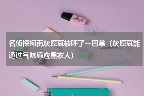 名侦探柯南灰原哀被呼了一巴掌（灰原哀能通过气味感应黑衣人）