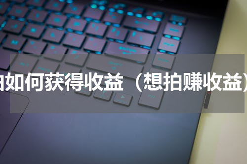 拍如何获得收益（想拍赚收益）