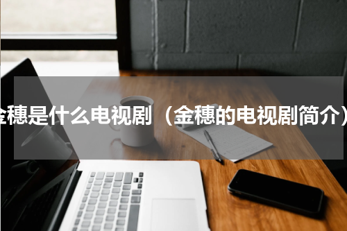 金穗是什么电视剧（金穗的电视剧简介）