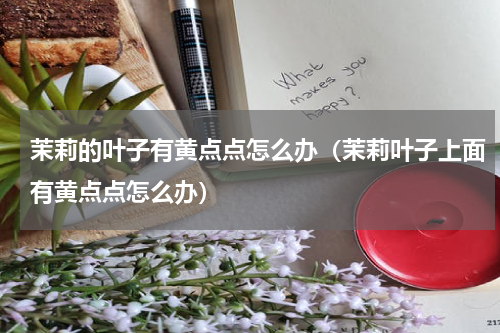 茉莉的叶子有黄点点怎么办（茉莉叶子上面有黄点点怎么办）