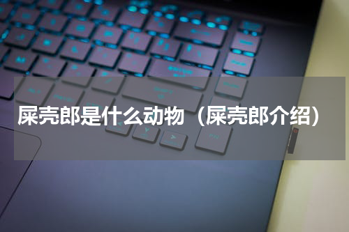 屎壳郎是什么动物（屎壳郎介绍）