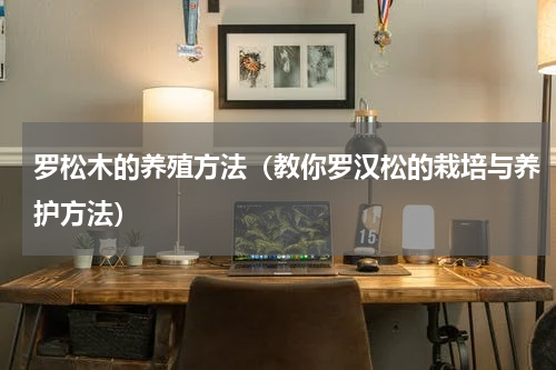 罗松木的养殖方法（教你罗汉松的栽培与养护方法）