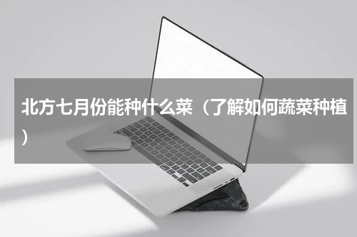 北方七月份能种什么菜（了解如何蔬菜种植）