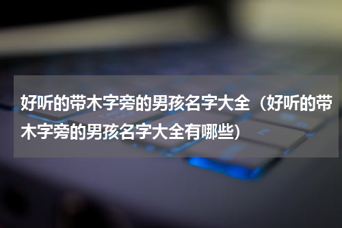 好听的带木字旁的男孩名字大全（好听的带木字旁的男孩名字大全有哪些）
