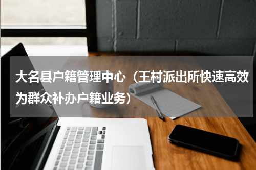 大名县户籍管理中心（王村派出所快速高效为群众补办户籍业务）