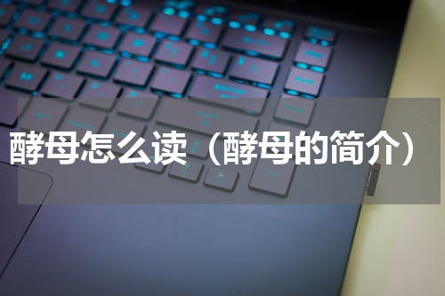 酵母怎么读（酵母的简介）