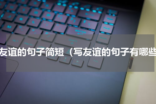 写友谊的句子简短（写友谊的句子有哪些）
