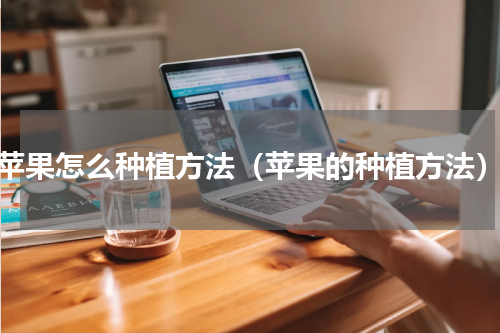 苹果怎么种植方法（苹果的种植方法）