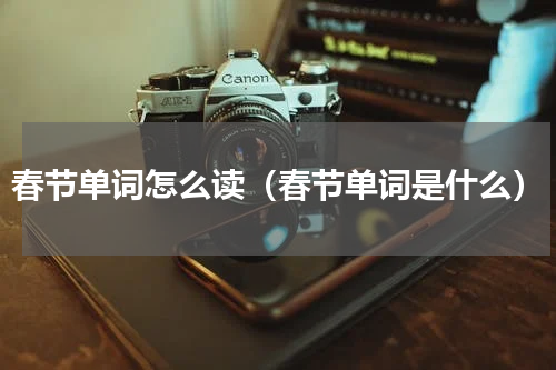 春节单词怎么读（春节单词是什么）