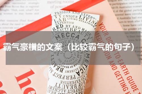 霸气豪横的文案（比较霸气的句子）