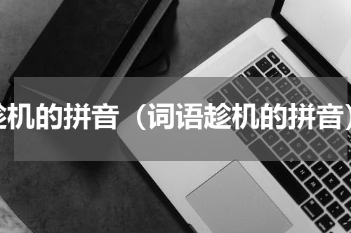 趁机的拼音（词语趁机的拼音）