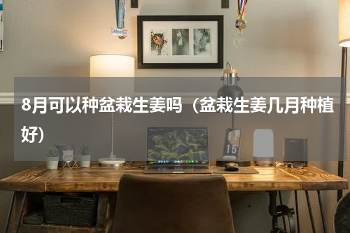8月可以种盆栽生姜吗（盆栽生姜几月种植好）