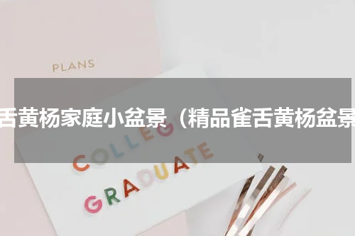 雀舌黄杨家庭小盆景（精品雀舌黄杨盆景）