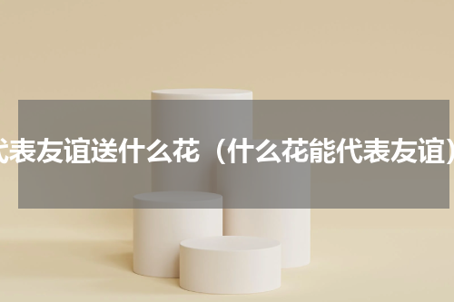 代表友谊送什么花（什么花能代表友谊）