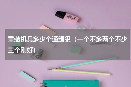 重装机兵多少个通缉犯（一个不多两个不少三个刚好）