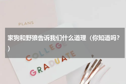 家狗和野狼告诉我们什么道理（你知道吗？）