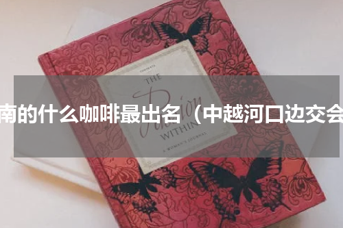 越南的什么咖啡最出名（中越河口边交会）