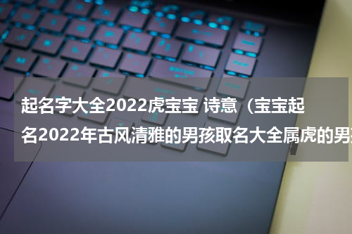 起名字大全2022虎宝宝 诗意（宝宝起名2022年古风清雅的男孩取名大全属虎的男孩名字）