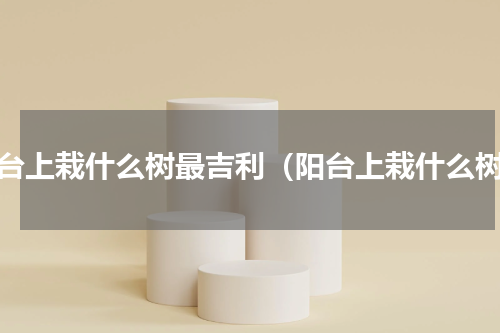 阳台上栽什么树最吉利（阳台上栽什么树）