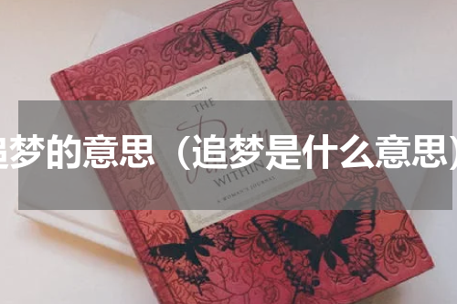 追梦的意思（追梦是什么意思）