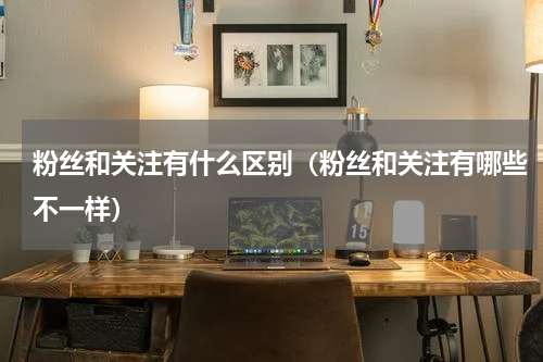 粉丝和关注有什么区别（粉丝和关注有哪些不一样）