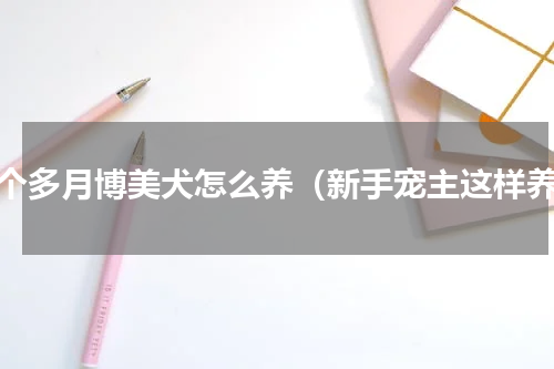 三个多月博美犬怎么养（新手宠主这样养）