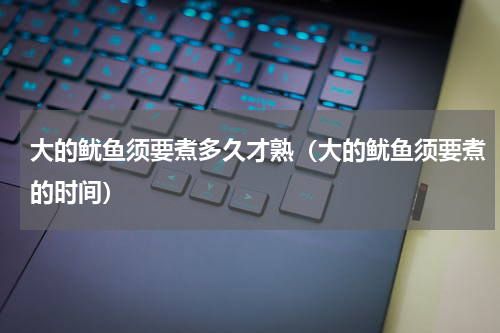 大的鱿鱼须要煮多久才熟（大的鱿鱼须要煮的时间）