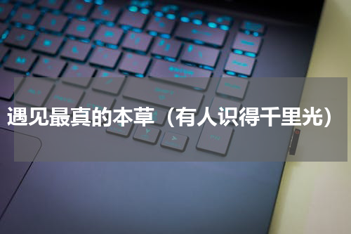 遇见最真的本草（有人识得千里光）