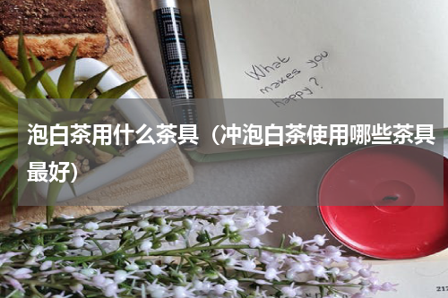 泡白茶用什么茶具（冲泡白茶使用哪些茶具最好）