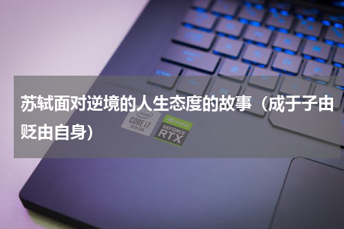 苏轼面对逆境的人生态度的故事（成于子由贬由自身）