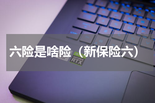 六险是啥险（新保险六）