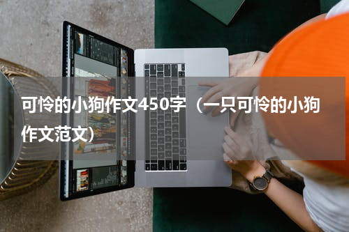 可怜的小狗作文450字（一只可怜的小狗作文范文）