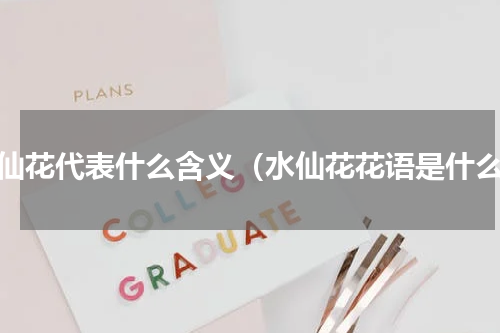 水仙花代表什么含义（水仙花花语是什么）