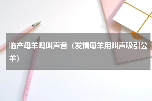 临产母羊鸣叫声音（发情母羊用叫声吸引公羊）