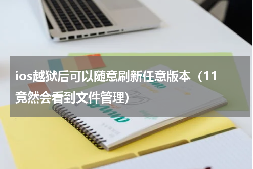 ios越狱后可以随意刷新任意版本（11竟然会看到文件管理）