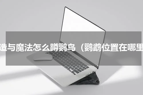 创造与魔法怎么蹲鹦鸟（鹦鹉位置在哪里）