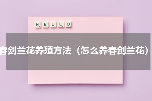 春剑兰花养殖方法（怎么养春剑兰花）