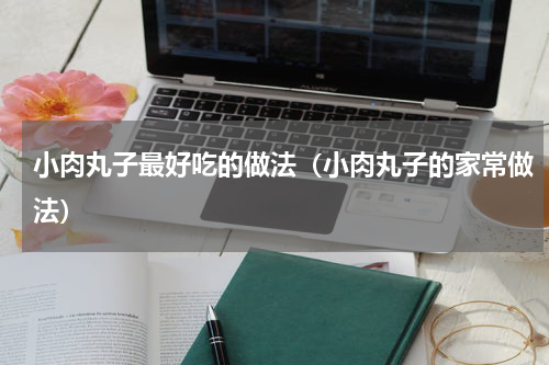小肉丸子最好吃的做法（小肉丸子的家常做法）