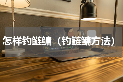 怎样钓鲢鳙（钓鲢鳙方法）
